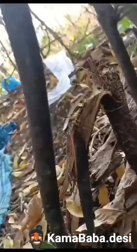 Viral Desi Girl Nude Huge Boobs Playing Selfie